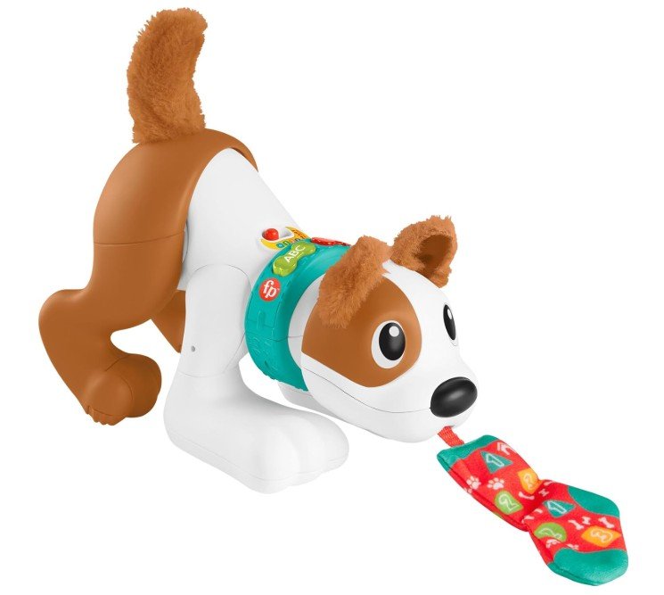 Fisher-Price Mon Chiot Rampe avec Moi