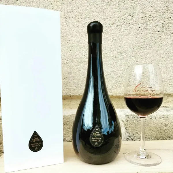 Bordeaux Saint-Émilion grand vin rouge tannique élégant