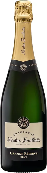 Champagne Brut AOC effervescent bulles élégant fête