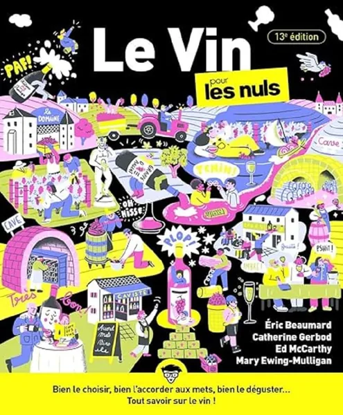 Le Vin pour les Nuls 13e édition guide complet débutant