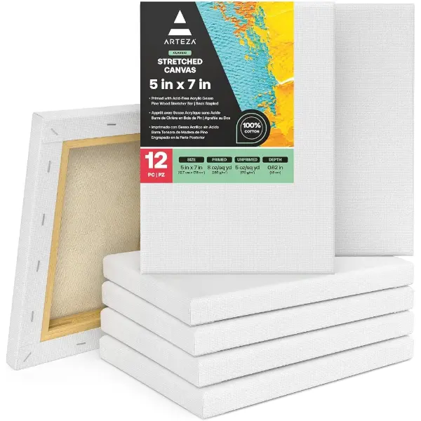 Arteza, lot de 12 châssis entoilés en coton pour peinture