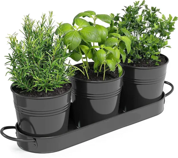 Pots à herbes pour rebord de fenêtre — cadeau pour ceux qui aiment cuisiner